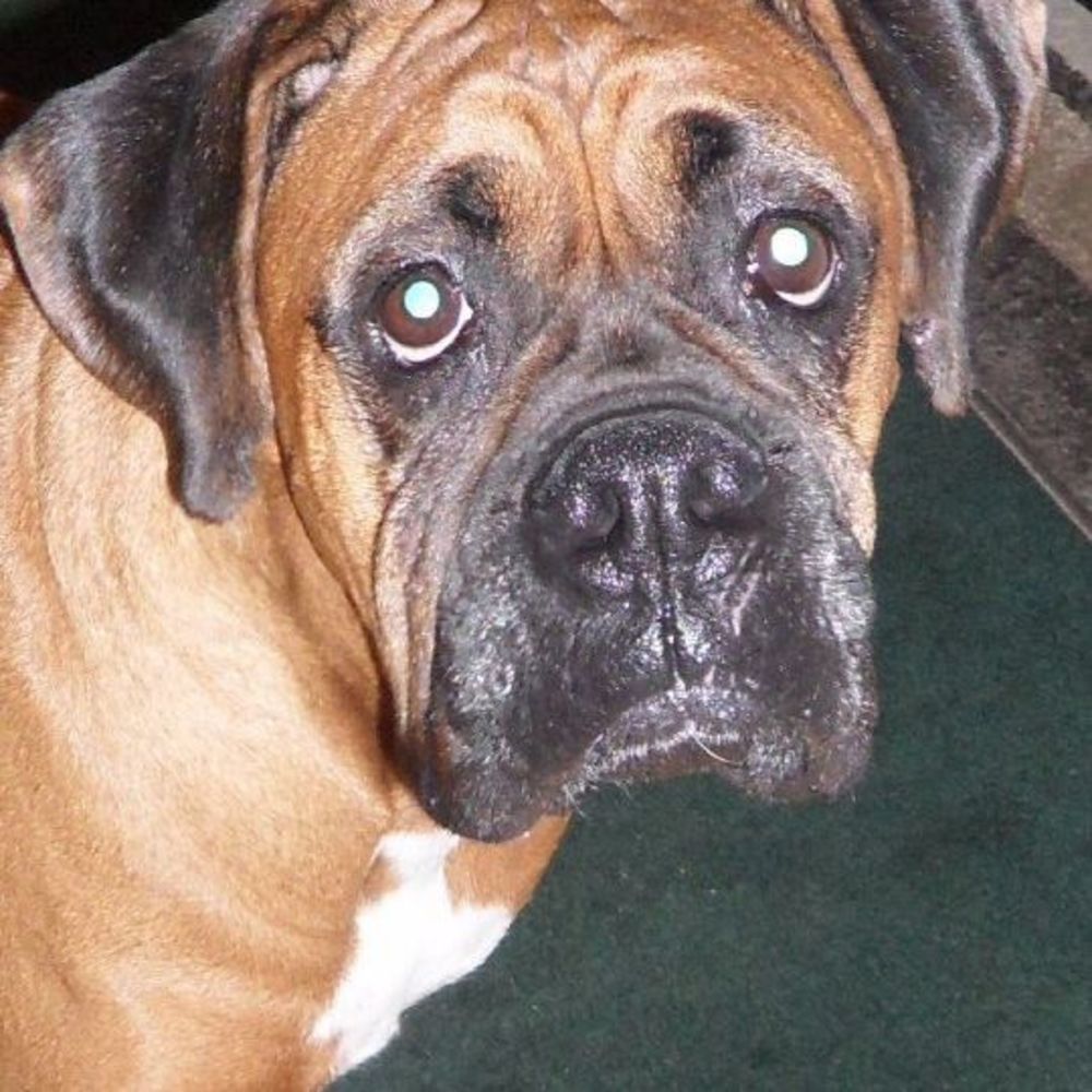 Meet your Posher, Jill